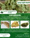 Legal Marijuana Store | Cannabis Oil Online logo
